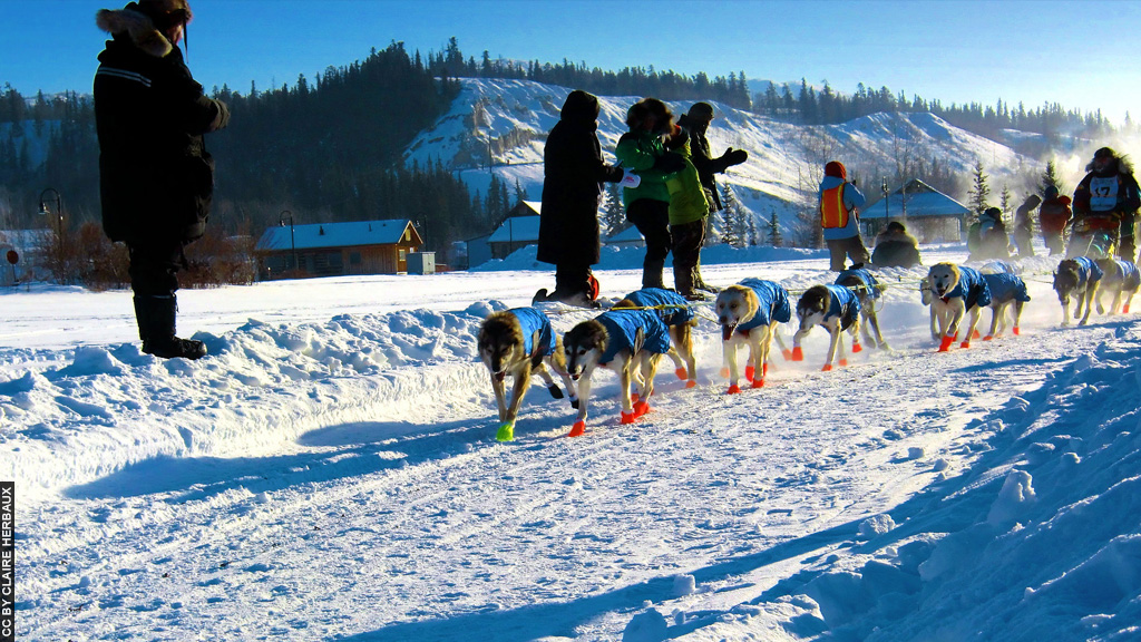 Canadá_Whitehorse_treno_puxado_por_cachorros