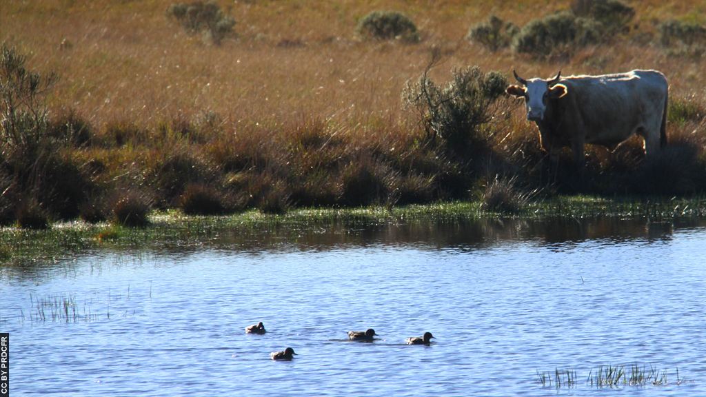 Blog Ativa | Parque Nacional Aparados da Serra